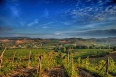 Visita Fattoria in Vespa Pranzo e degustazione per 2