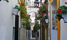 Tour guidato di Cordoba