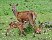 Vacanza in Famiglia 4 notti al Parco dei Cimini 