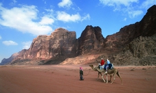  Tour in jeep di un'intera giornata nel deserto del Wadi Rum