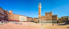 Tour di degustazione di vini a San Gimignano e Siena da Roma