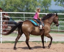 Voucher Regalo Escursione a Cavallo, 2 Biglietti d’ingresso Parco Divertimento e Soggiorno