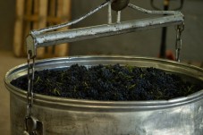Degustazione Vini a Siena