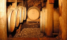 Alto Adige: visita e degustazione di vini nella tenuta Schwarhof - Loacker