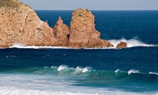 Full-day Wilsons Promontory National Park tour