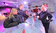 Amsterdam: ingresso all'XtraCold Icebar e biglietto per l'autobus sali-scendi valido 24 ore
