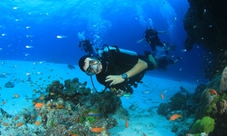 Australia Multi City pass fper 5,7 o 10 attrazioni