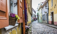 Escursione per crociere: tour panoramico di Tallinn di mezza giornata