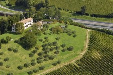 Soggiorno in Vigna con tour con agronomo