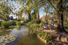 Natura al Parco Sigurtà e cinema a Verona 