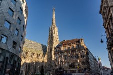 Vienna in famiglia con ingresso allo Zoo di Schönbrunn