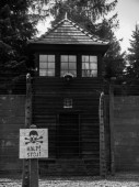 Tour del museo di Auschwitz-Birkenau da Cracovia