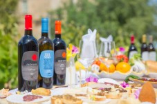 Lezione di Volo per coppia a Brescia e Degustazione Vini sul Lago di Garda