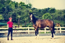 Lezione di equitazione per due in Maremma