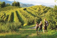 Due Notti Romantiche nello Chalet nel Bosco con Degustazione nelle vigne