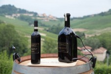 Visita Guidata in Italiano o Inglese con Degustazione di 4 Vini Barolo d.o.c.g.