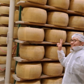 Visita a un Caseificio di Parmigiano Reggiano con Degustazione