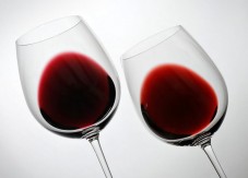 Tour e Degustazione 3 vini a scelta