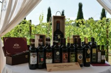 Degustazione 3 vini con visita a vigneto cantina 