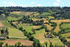 Tour di mezza giornata della Camargue da Aix en Provence
