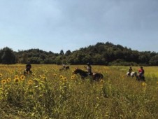 Fuga Romantica a Cavallo tra i Vigneti in Piemonte