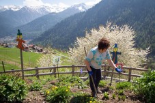 Speciale secondo weekend dei Fiori in Val di Pejo: 8-9-10 giugno