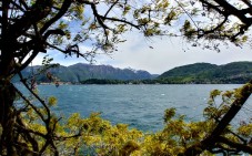 Tour in giornata Lago di Como e Bellagio