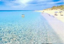 Tour delle cantine della Puglia con pernottamento