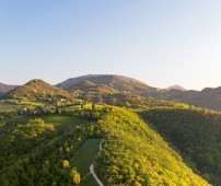 Volo Panoramico del Parco Naturale dei Colli Euganei