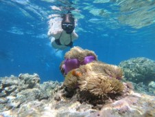 Esperienza privata “Premium” snorkeling con fingerfood e prosecco con bagno - Napoli