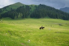 Passeggiata per tre persone a cavallo-abruzzo