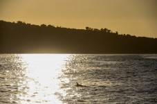 Viaggio Regalo In Corsica