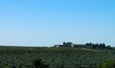 Degustazione di vini biologici e di olio d'oliva