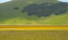 National Park of Monti Sibillini: Castelluccio di Norcia