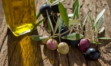 Tour of the Florentine Hills to Discover Oil Production and Lunch