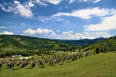 BENESSERE TERMALE E GASTRONOMIA MEDIUM IN EMILIA