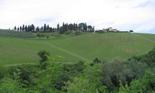 Food and wine in the Lucca countryside by minivan from Lucca