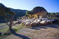 Fuga Romantica per due Agriturismo in Sardegna