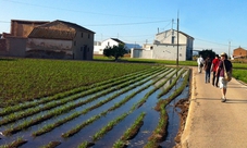 Tour della Horta Nord e lezione per Horchata