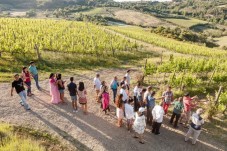 Wine Experience con il Vignaiolo