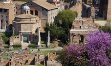 Tour di Roma e biglietti salta fila per i Musei Vaticani e il Colosseo