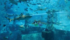 Biglietti combinati Aquaventure Dubai e Lost Chambers con trasferimento