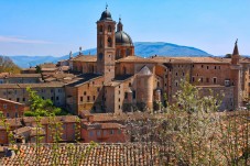 Tour guidato per le vie di Urbino