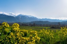 Adotta un orto a distanza 10 kg di ortaggi a casa tua