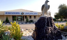 Tour dell'ospedale per falchi in Abu Dhabi
