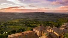 Immersione nelle storiche vigne di Montepulciano