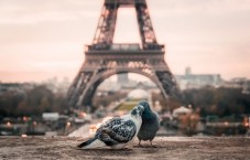 Viaggio All Inclusive per 4 Persone a Parigi