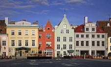 Escursione per crociere: tour di un giorno di Tallinn