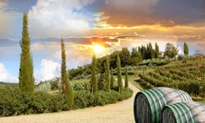 Chianti & Castel Tour from San Gimignano