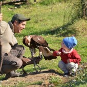 Pacchetto Famiglia Avventura - Alla scoperta degli amici rapaci e dei paesaggi calabresi!